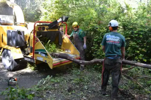 tree services Brookdale